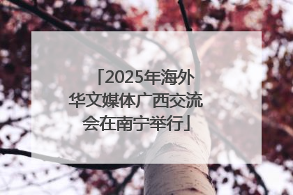 2025年海外华文媒体广西交流会在南宁举行