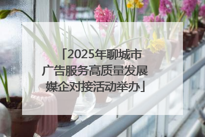 2025年聊城市广告服务高质量发展媒企对接活动举办