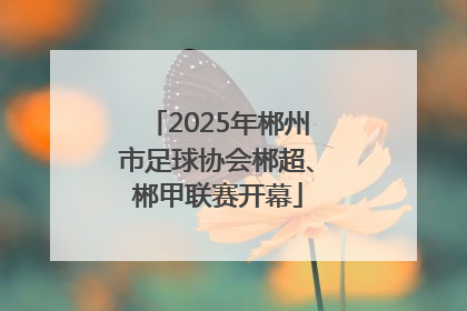 2025年郴州市足球协会郴超、郴甲联赛开幕