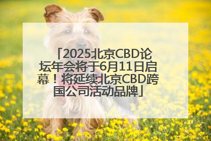 2025北京CBD论坛年会将于6月11日启幕！将延续北京CBD跨国公司活动品牌