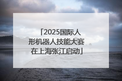 2025国际人形机器人技能大赛在上海张江启动