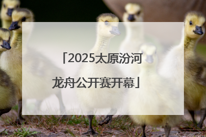 2025太原汾河龙舟公开赛开幕