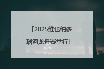 2025维也纳多瑙河龙舟赛举行