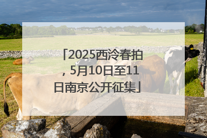 2025西泠春拍，5月10日至11日南京公开征集