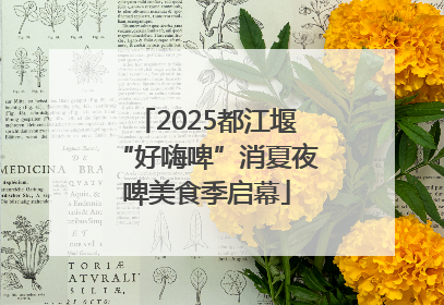 2025都江堰“好嗨啤”消夏夜啤美食季启幕