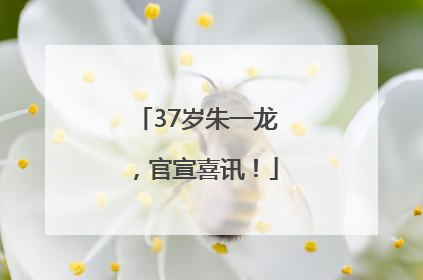 37岁朱一龙，官宣喜讯！