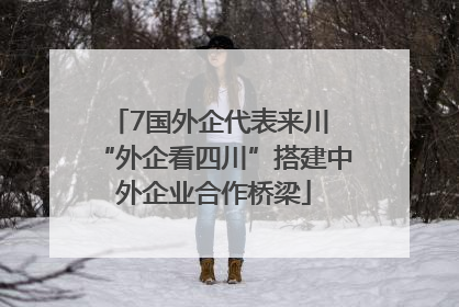 7国外企代表来川 “外企看四川”搭建中外企业合作桥梁