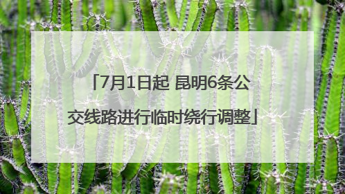 7月1日起 昆明6条公交线路进行临时绕行调整