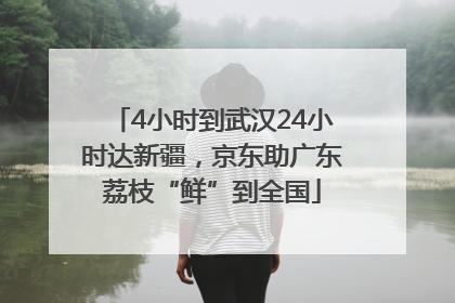 4小时到武汉24小时达新疆，京东助广东荔枝“鲜”到全国