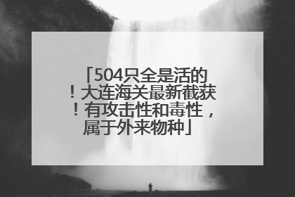504只全是活的！大连海关最新截获！有攻击性和毒性，属于外来物种