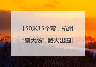 50米15个弯，杭州“猪大肠”路火出圈