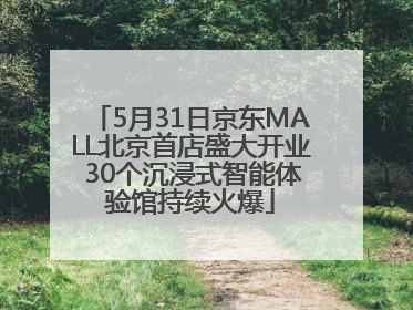 5月31日京东MALL北京首店盛大开业 30个沉浸式智能体验馆持续火爆