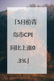 5月份青岛市CPI同比上涨0.3%