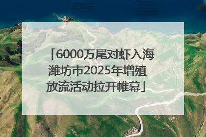6000万尾对虾入海 潍坊市2025年增殖放流活动拉开帷幕