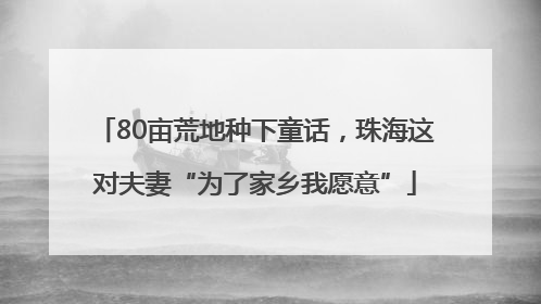 80亩荒地种下童话,珠海这对夫妻“为了家乡我愿意”