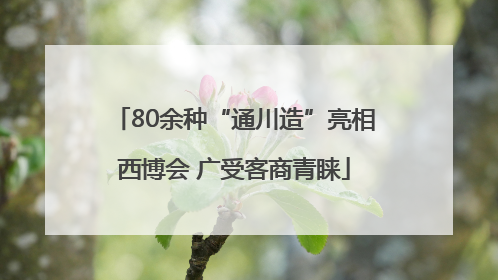 80余种“通川造”亮相西博会 广受客商青睐