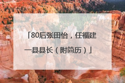 80后张田怡，任福建一县县长（附简历）