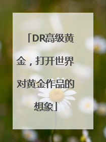 DR高级黄金，打开世界对黄金作品的想象