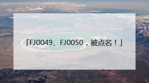 FJ0049、FJ0050，被点名！